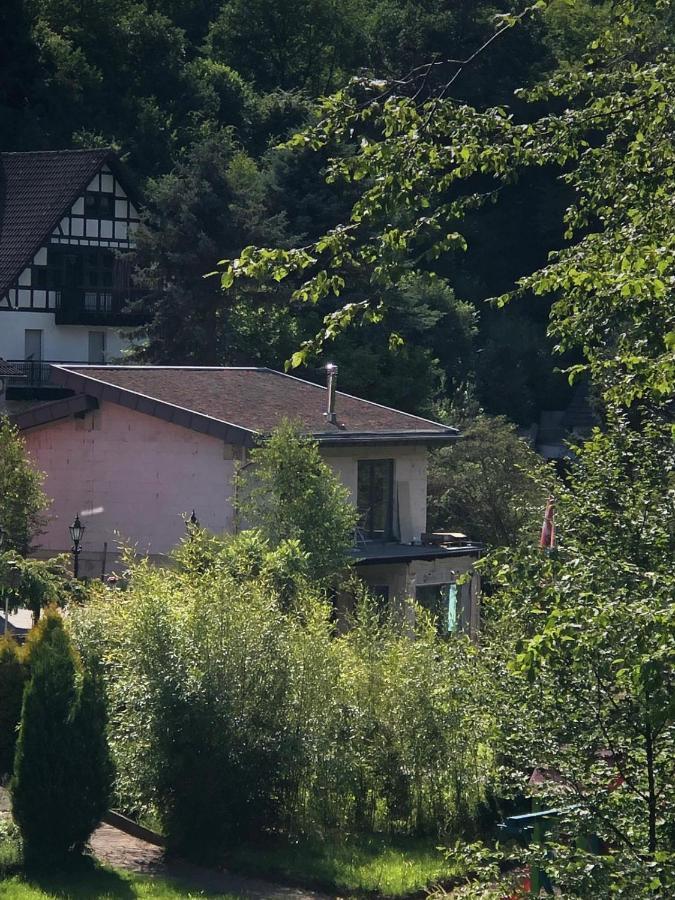 Ferienhaus Waldbaden Im Nationalpark Eifel- Am Bach Schleiden Esterno foto
