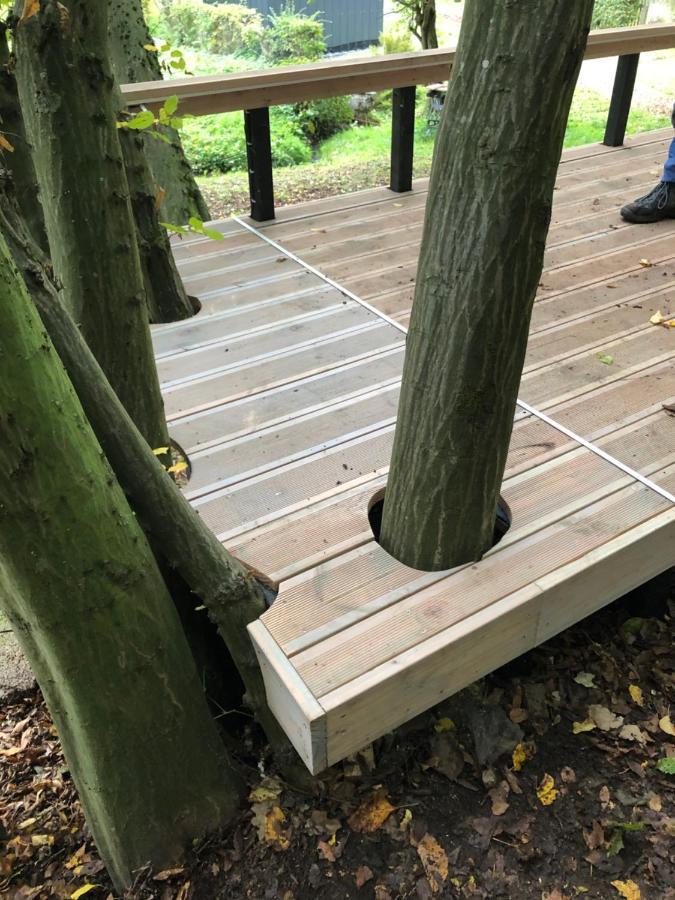 Ferienhaus Waldbaden Im Nationalpark Eifel- Am Bach Schleiden Esterno foto