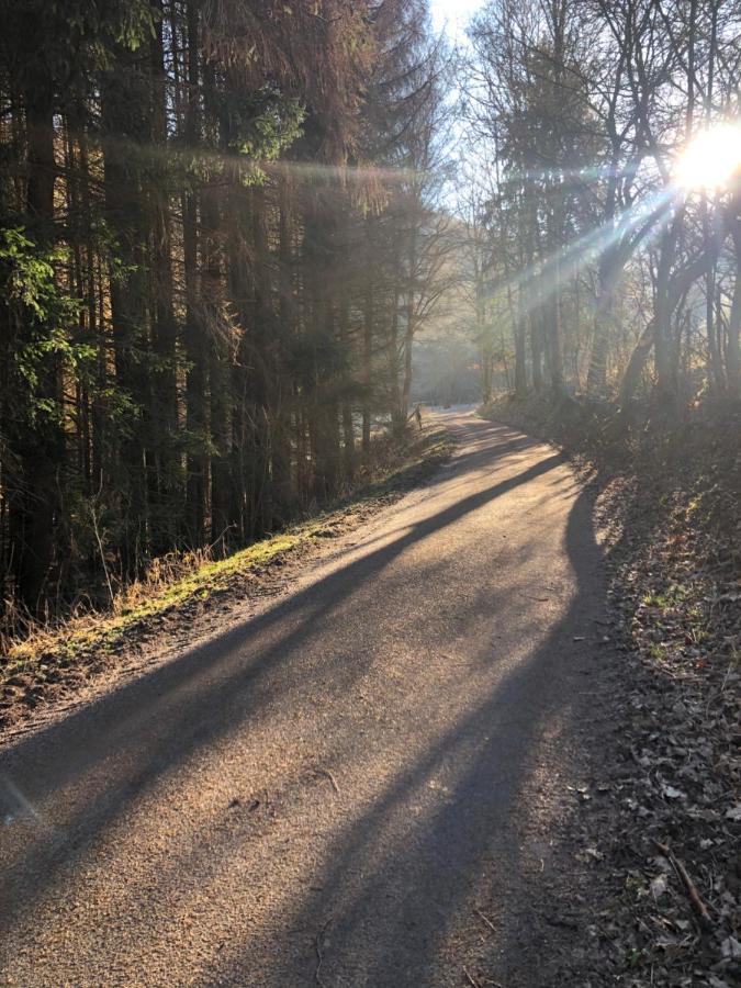 Ferienhaus Waldbaden Im Nationalpark Eifel- Am Bach Schleiden Esterno foto