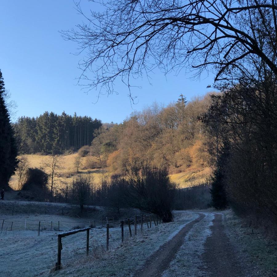 Ferienhaus Waldbaden Im Nationalpark Eifel- Am Bach Schleiden Esterno foto