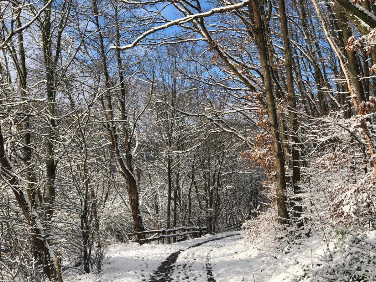Ferienhaus Waldbaden Im Nationalpark Eifel- Am Bach Schleiden Esterno foto