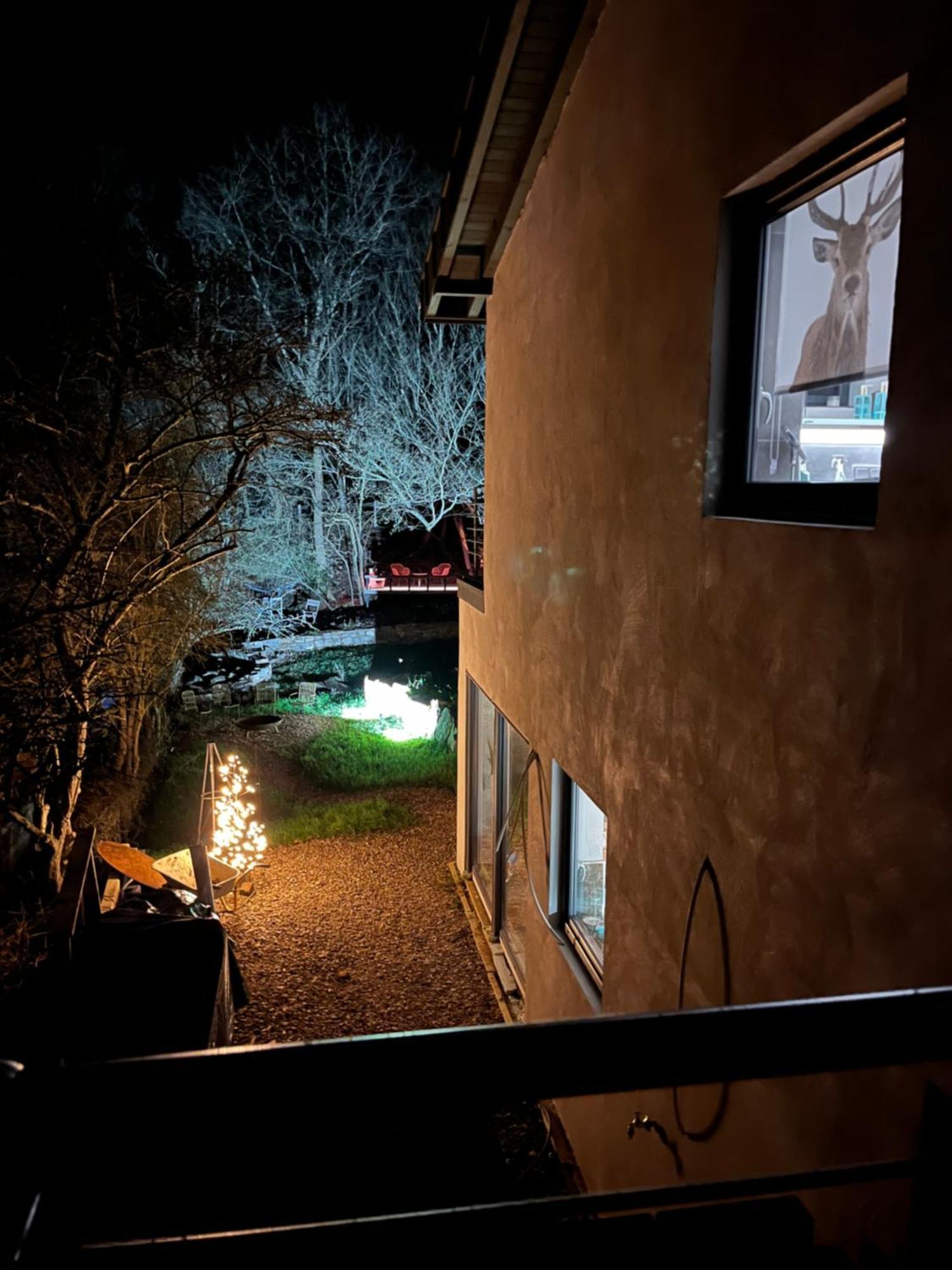 Ferienhaus Waldbaden Im Nationalpark Eifel- Am Bach Schleiden Esterno foto
